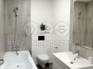 Pronájem bytu 1+kk, Frýdek-Místek - Frýdek, Růžový pahorek, 30 m2