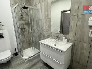 Pronájem bytu 1+kk, Frýdek-Místek - Frýdek, Růžový pahorek, 31 m2