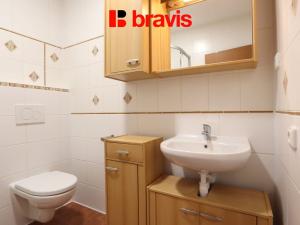 Pronájem bytu 1+kk, Popůvky, Chaloupky, 20 m2