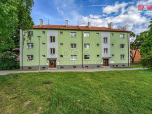 Prodej bytu 2+1, Ostrov, Šafaříkova, 55 m2