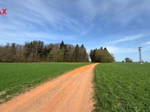 Prodej lesa, Spálov, 25088 m2