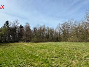 Prodej lesa, Spálov, 25088 m2