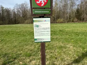 Prodej lesa, Spálov, 25088 m2