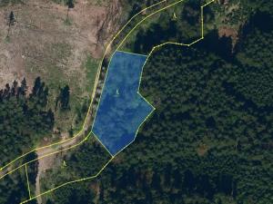 Prodej lesa, Ledeč nad Sázavou, 3240 m2