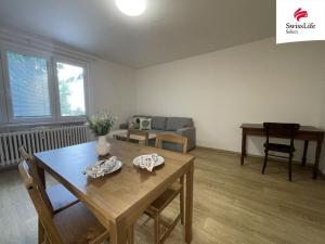 Pronájem bytu 2+kk, Brno, Molákova, 40 m2