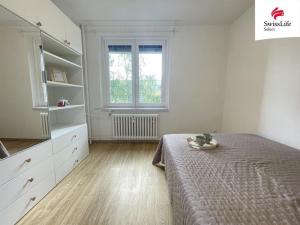 Pronájem bytu 2+kk, Brno, Molákova, 40 m2