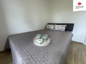 Pronájem bytu 2+kk, Brno, Molákova, 40 m2