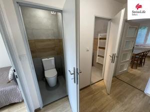 Pronájem bytu 2+kk, Brno, Molákova, 40 m2