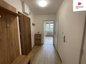 Pronájem bytu 2+kk, Brno, Molákova, 40 m2