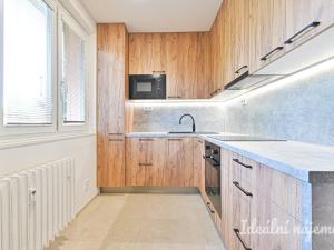 Pronájem bytu 2+1, Brno, náměstí SNP, 55 m2
