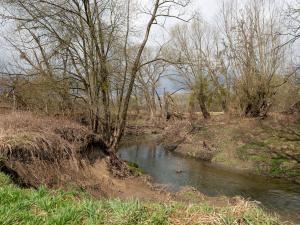 Prodej rodinného domu, Havířov - Bludovice, Luční, 100 m2
