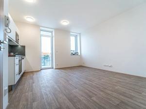 Pronájem bytu 1+kk, Mikulov, 33 m2