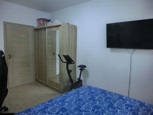 Prodej bytu 3+1, Uherské Hradiště, 70 m2