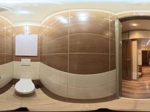 Pronájem bytu 3+kk, Plzeň, Francouzská třída, 52 m2