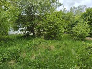 Prodej rodinného domu, Vlkanov, 220 m2