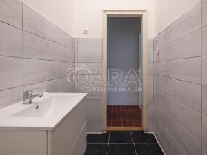 Prodej bytu 1+kk, Praha - Strašnice, Starostrašnická, 23 m2