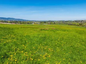Prodej pozemku pro bydlení, Kaplice - Mostky, 917 m2