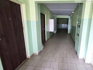 Prodej bytu 2+1, Bílina - Pražské Předměstí, Fügnerova, 48 m2