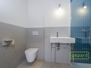 Pronájem bytu 1+kk, Praha - Žižkov, Sudoměřská, 35 m2