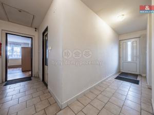 Prodej obchodního prostoru, Lišany, 832 m2
