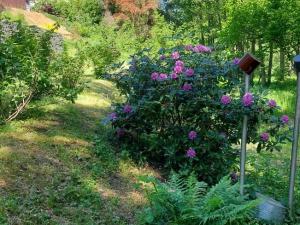 Prodej chaty, Bukovany, 91 m2