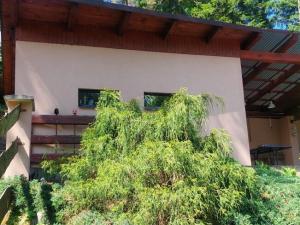 Prodej chaty, Bukovany, 91 m2