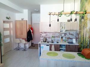 Pronájem bytu 2+kk, Janovice nad Úhlavou, Rozvojová zóna, 44 m2