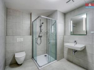 Pronájem bytu 1+kk, Plzeň, Měděná, 40 m2