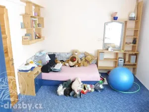 Dražba bytu 6+kk a větší, Plzeň, Francouzská třída, 133 m2