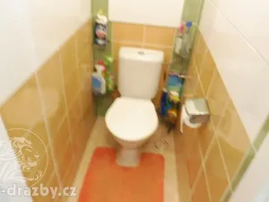 Dražba bytu 6+kk a větší, Plzeň, Francouzská třída, 133 m2