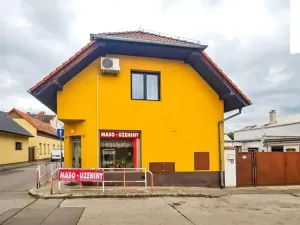 Prodej rodinného domu, Praha - Modřany, Branislavova, 250 m2