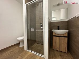 Pronájem bytu 1+kk, Mikulov, 22. dubna, 36 m2