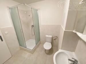 Pronájem bytu 2+kk, Ivanovice na Hané - Chvalkovice na Hané, 64 m2