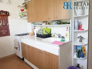 Pronájem bytu 2+1, Brno, Jílová, 67 m2
