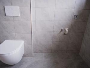 Pronájem bytu 2+kk, Benátky nad Jizerou, Pražská, 56 m2