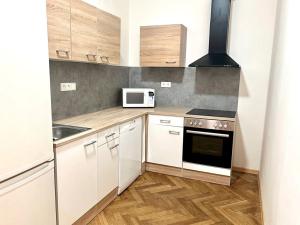 Pronájem bytu 3+1, Brno, Sokolská, 18 m2