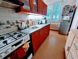 Prodej bytu 2+1, Ústí nad Labem - Ústí nad Labem-centrum, V Kutišti, 49 m2