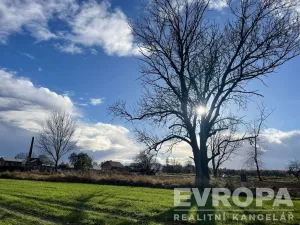 Prodej pozemku pro bydlení, Golčův Jeníkov, 2922 m2