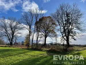 Prodej pozemku pro bydlení, Golčův Jeníkov, 2922 m2