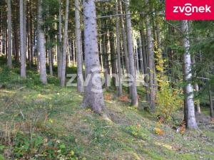 Prodej chaty, Velké Karlovice, 65 m2