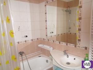 Prodej bytu 2+kk, České Budějovice, V. Volfa, 48 m2