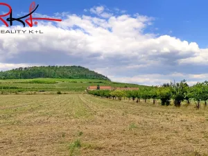 Prodej rodinného domu, Brzánky, 54 m2