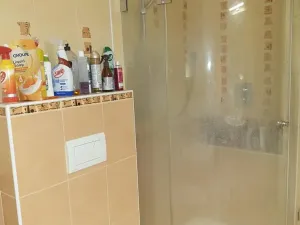 Prodej vícegeneračního domu, Břeclav, Písníky, 200 m2