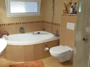 Prodej vícegeneračního domu, Břeclav, Písníky, 200 m2