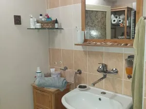 Prodej vícegeneračního domu, Břeclav, Písníky, 200 m2