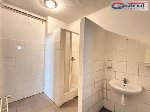 Pronájem skladu, Kostěnice, 2610 m2