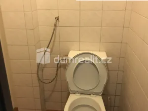 Pronájem bytu 1+kk, Praha - Libeň, Andrštova, 26 m2