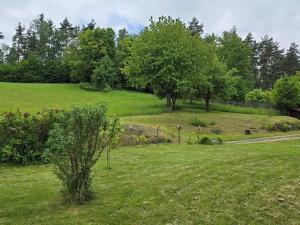 Prodej chalupy, Dolní Hbity, 206 m2