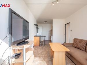 Prodej bytu 2+kk, Litvínov - Janov, Hamerská, 41 m2