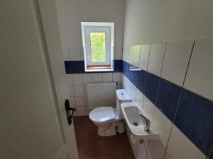 Prodej chaty, Červená Voda, 265 m2
